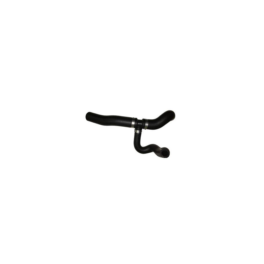 BUGIAD Bsp25018 Radiator Hose