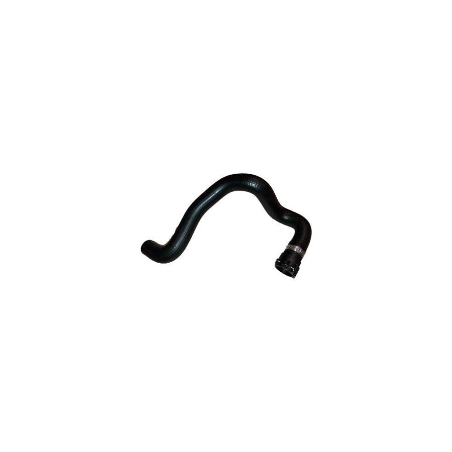 BUGIAD Bsp25033 Radiator Hose