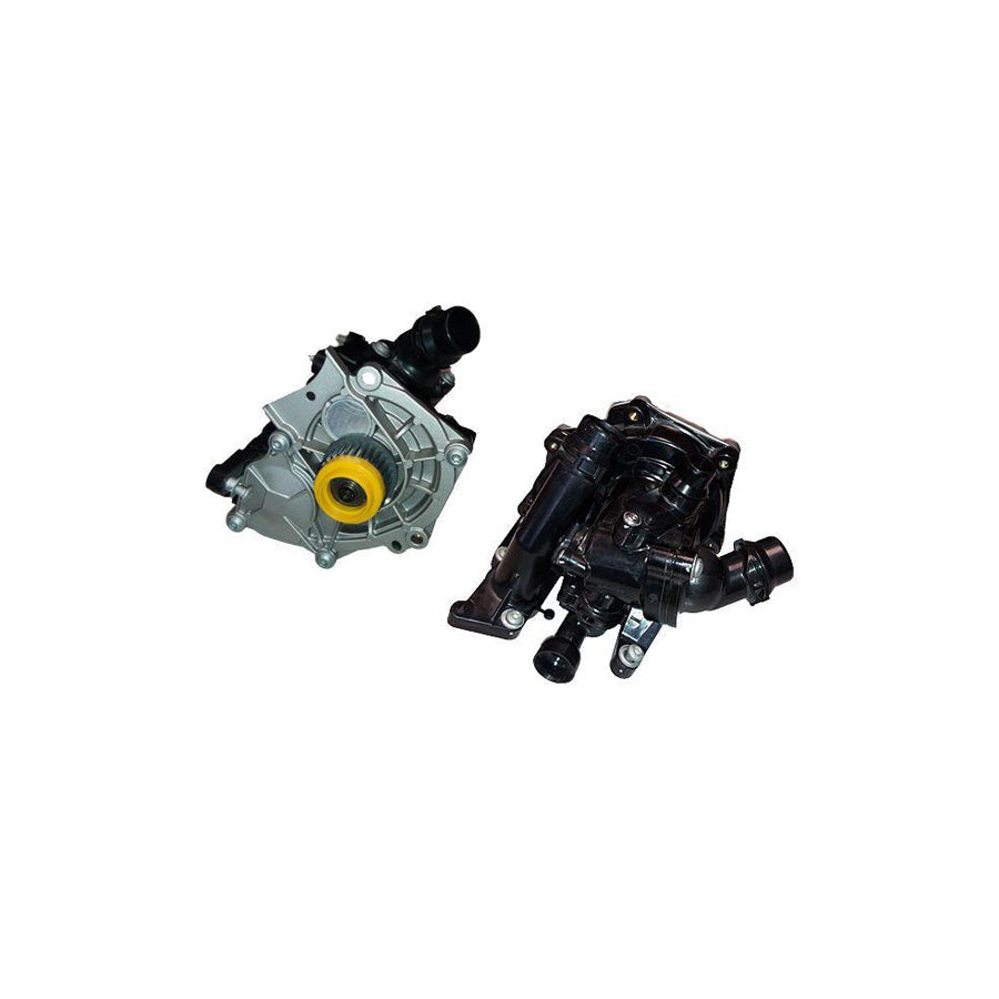 BUGIAD Bsp25062 Water Pump