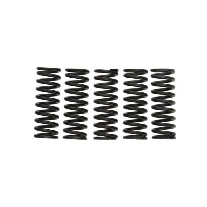 Wiseco CRF250R/RM-Z250 Clutch Spring Kit