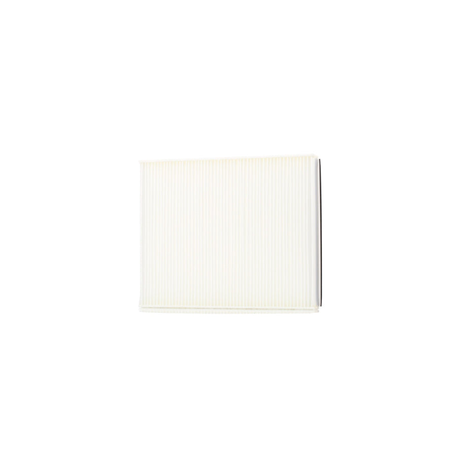 CHAMPION CCF0021 Pollen Filter