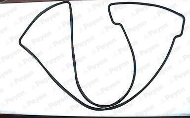 PAYEN JN539 Cylinder Head Cover Gasket