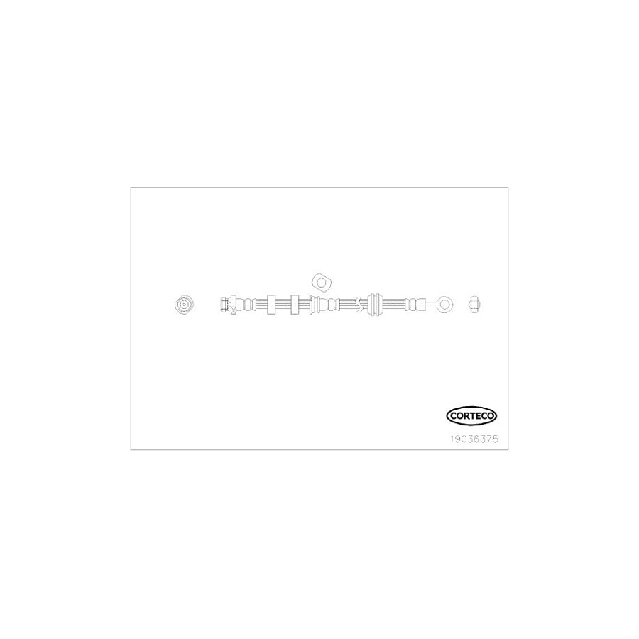 Corteco 19036375 Brake Hose