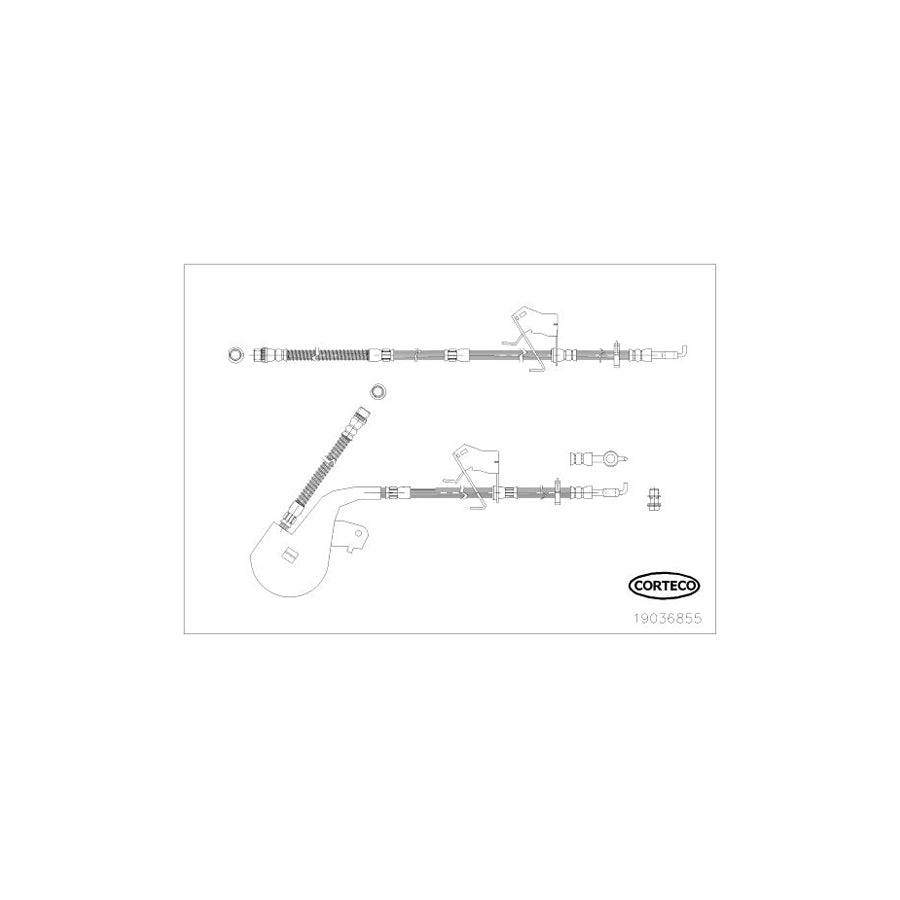 Corteco 19036855 Brake Hose
