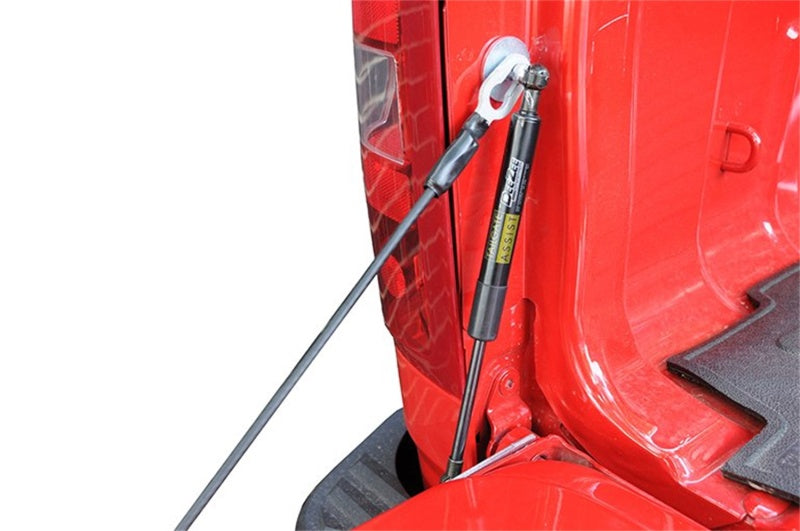 Dee Zee 19-23 Chevrolet Colorado Tailgate Assist Shock
