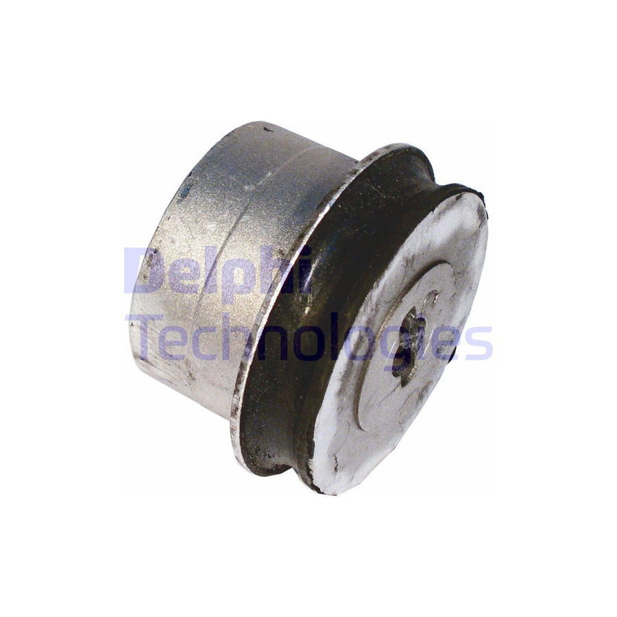 Delphi TD527W Control Arm / Trailing Arm Bush