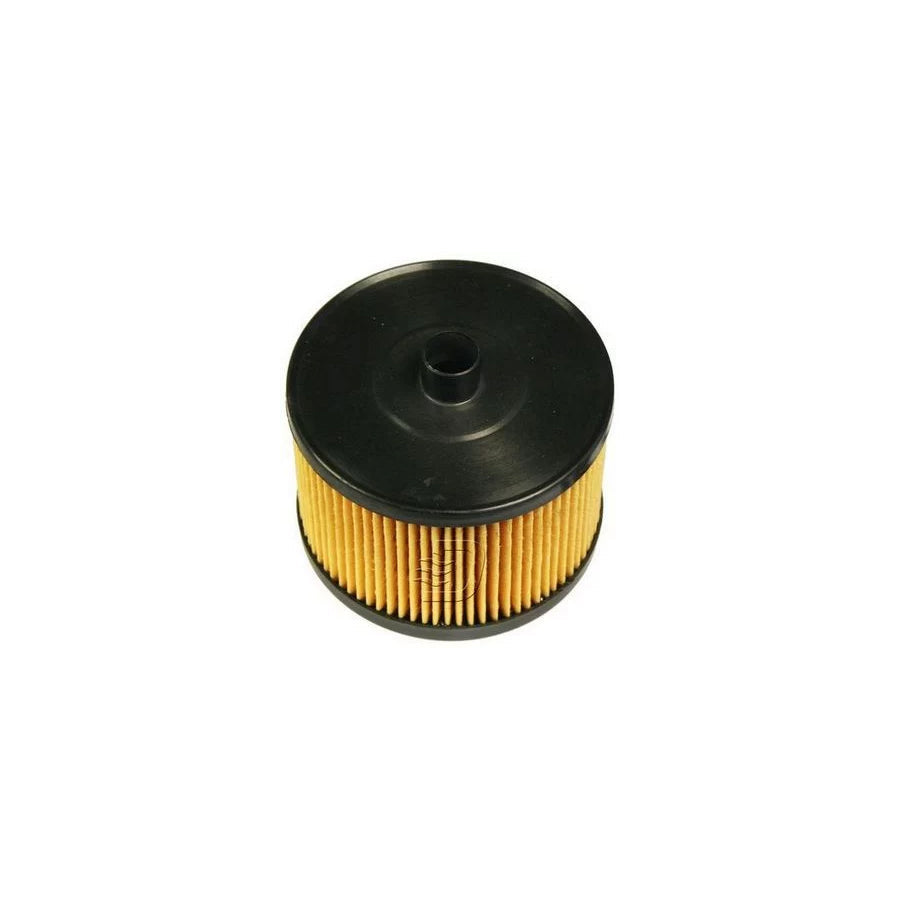 Denckermann A120310 Fuel Filter