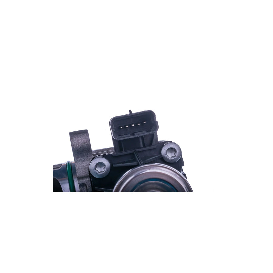 Denckermann E400036 Egr Valve