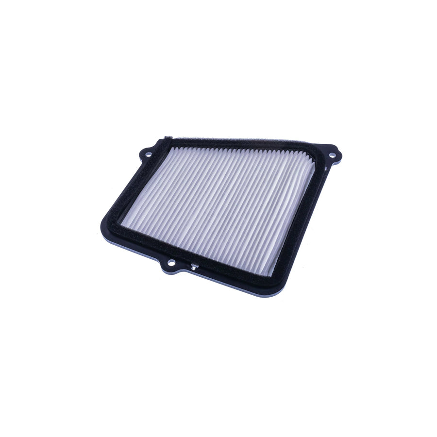 Denckermann M111006 Pollen Filter