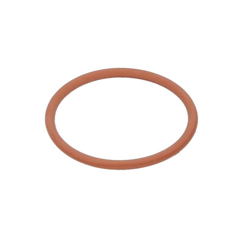 DELPHI 00-0271 Injector Seal Ring