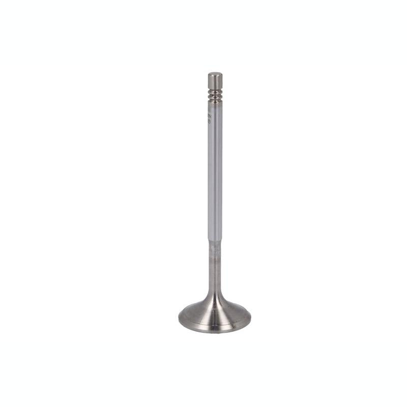 NE 147010000700 Intake Valve