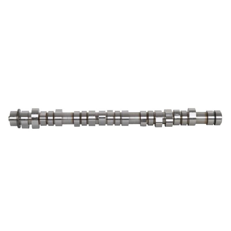BF 20100411003 Camshaft
