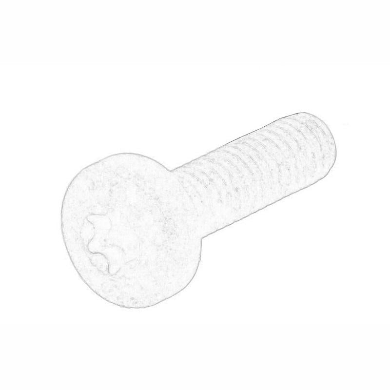 OE VW N10124306 Waterpump Screw