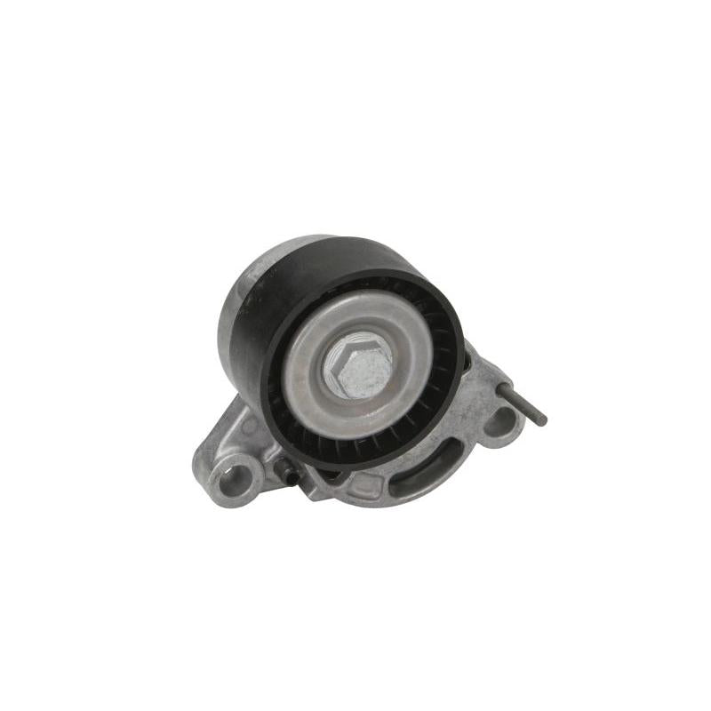 DAYCO DAYAPV3239 V-Ribbed Belt Tensioner Lever
