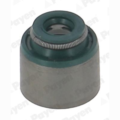 PAYEN PA6128 Valve Stem Gasket/Seal