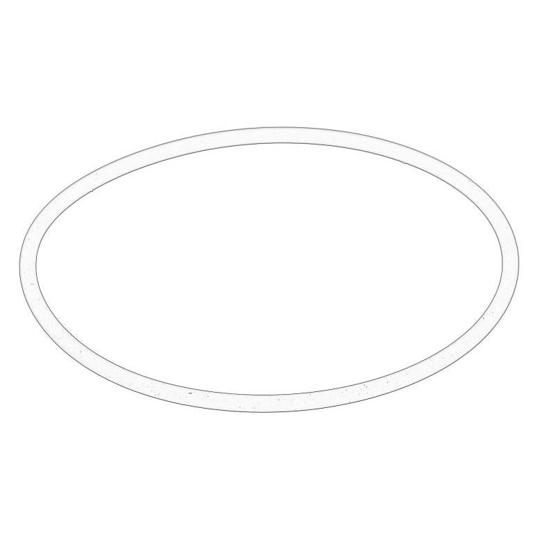 OE IVECO 17291281 Water Pump Gasket