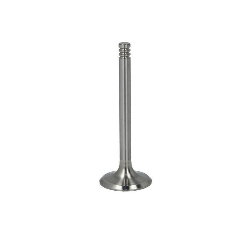 NE 147050000200 Intake Valve