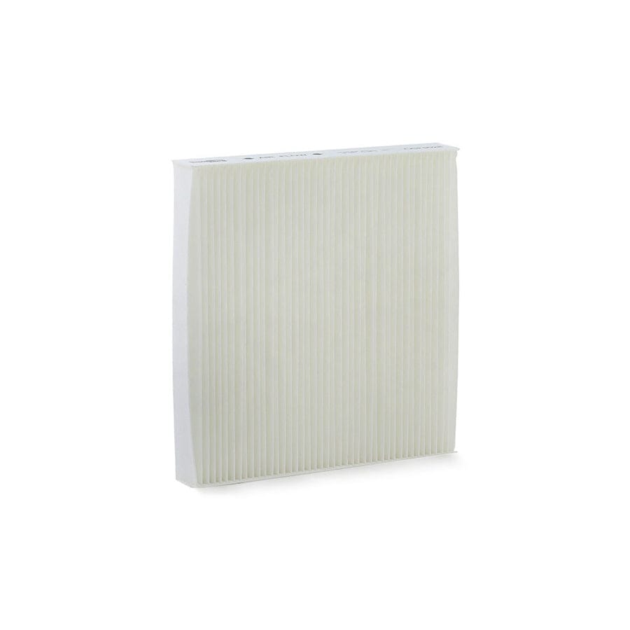 Champion Ccf0028 Pollen Filter