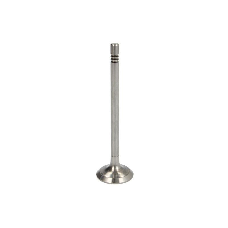 PARADOWSCY PVWG036 Exhaust Valve