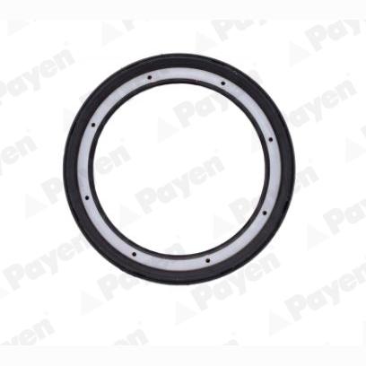 PAYEN NJ949 Wheel Hub Shaft Seal