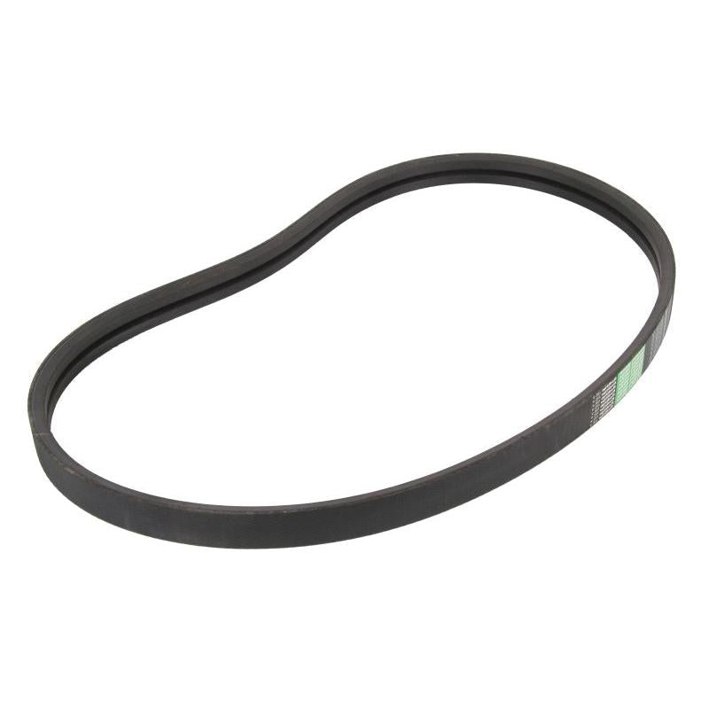 OPTIBELT 1001753AP V-Ribbed Belt