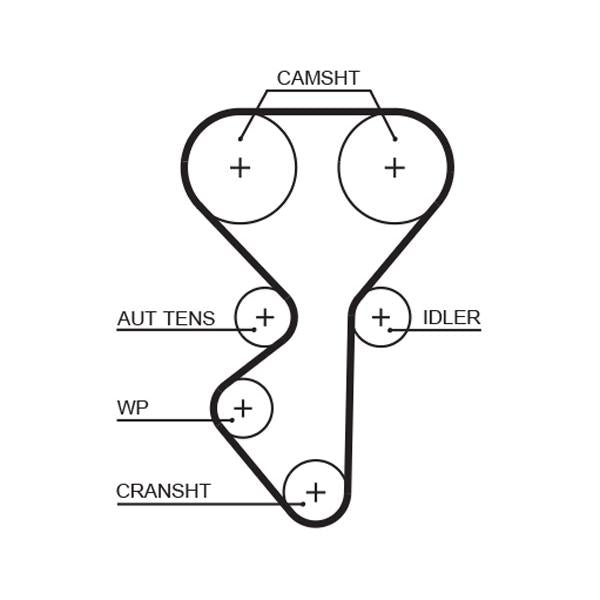 GATES GAT5631XS Timing Belt