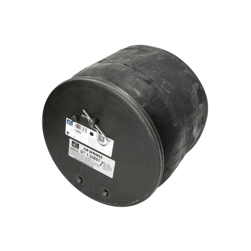 DT SPARE PARTS 1.25857 Air Suspension Bellow
