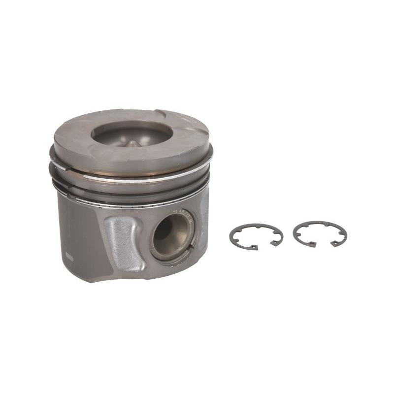 NURAL 8743650600 Piston