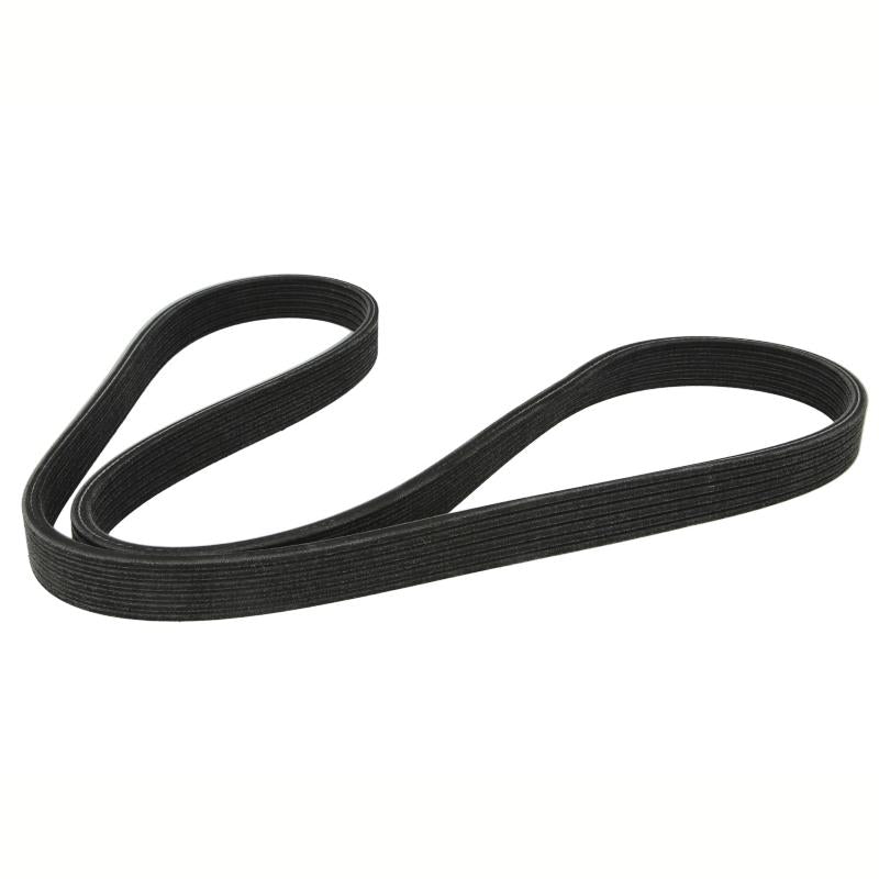 DAYCO DAY6PK1320 V-Ribbed Belt