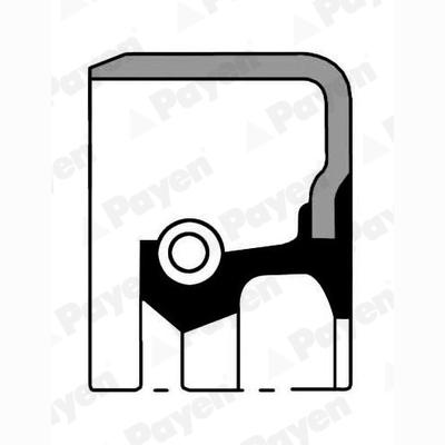 PAYEN NK054 Wheel Hub Shaft Seal