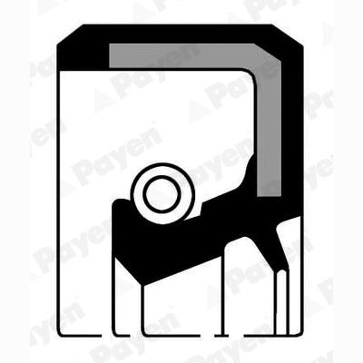 PAYEN NA5246 Crankshaft Shaft Seal
