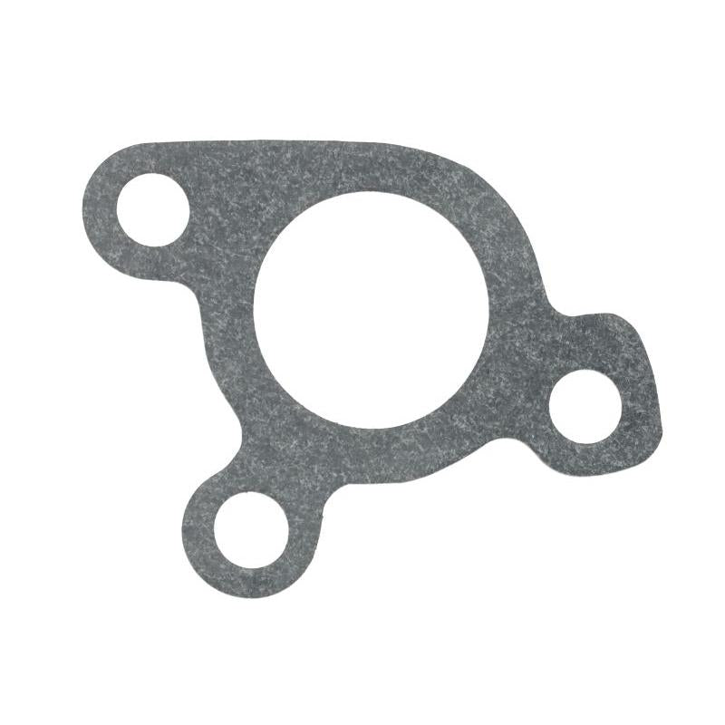 FP DIESEL R100569-FP Water Pump Gasket