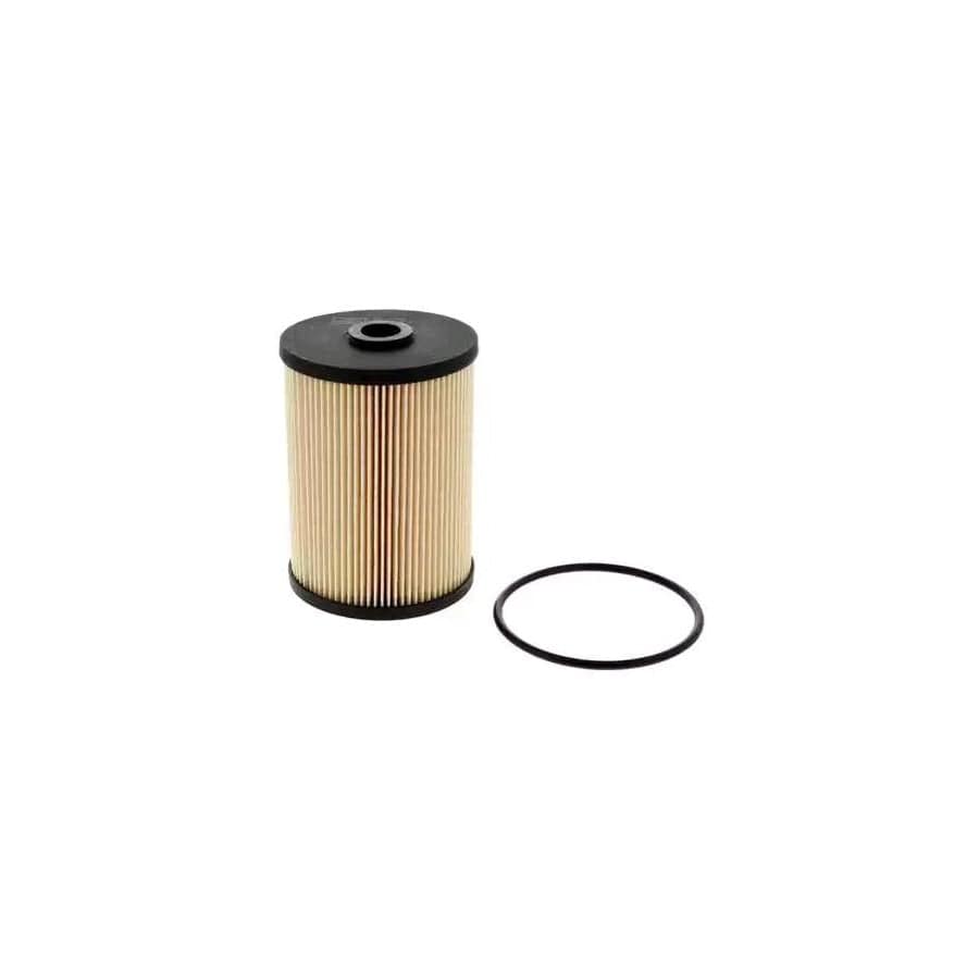 Champion Cff100447 Fuel Filter