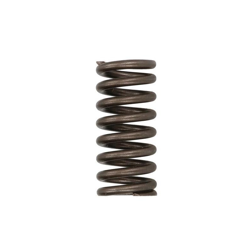 VM MOTORI VM20462083F Valve Spring