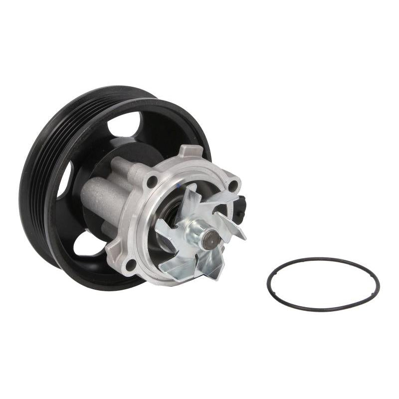 HEPU P3003M Water Pump