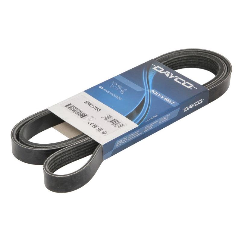 DAYCO DAY5PK1810S V-Ribbed Belt