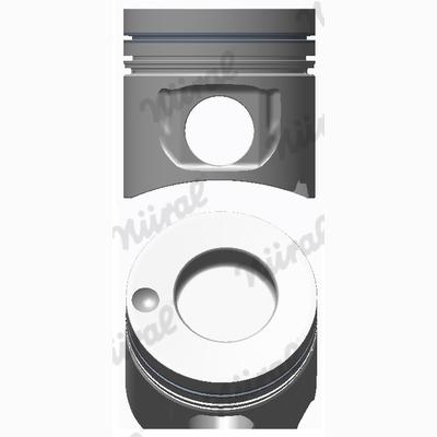 NURAL 8717930015 Piston
