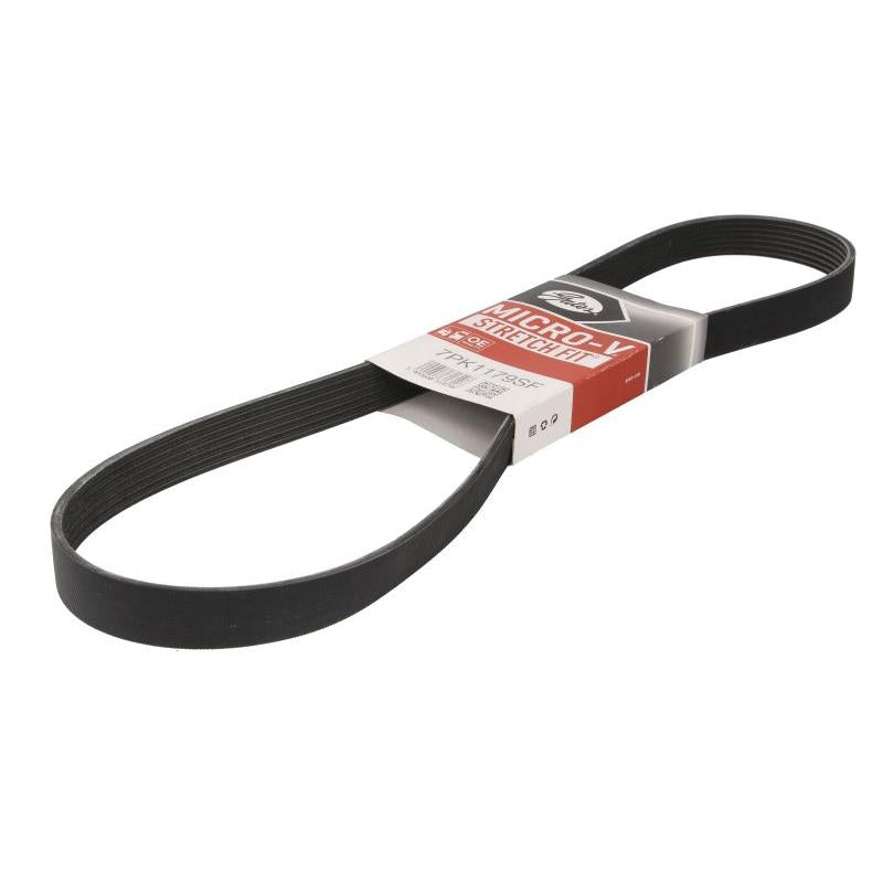 GATES GAT7PK1179SF V-Ribbed Belt