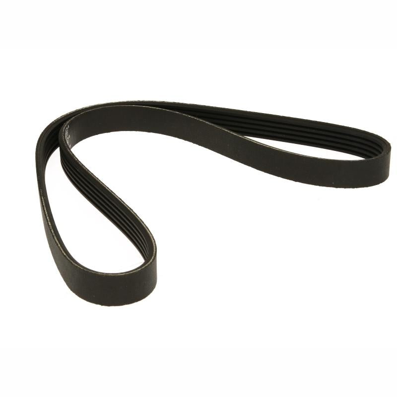DAYCO DAY5PK926EE V-Ribbed Belt