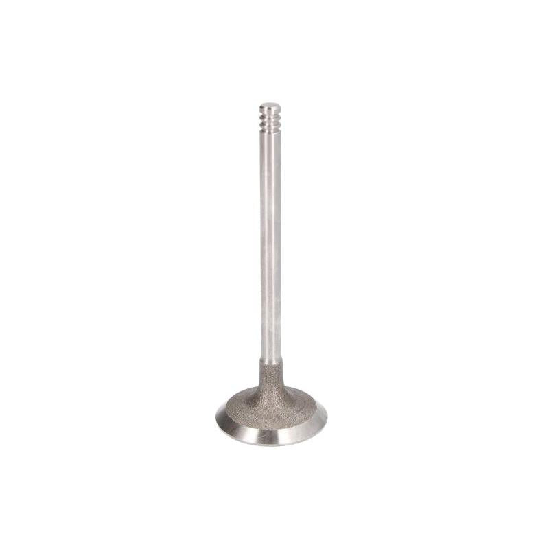 FRECCIA 8093/S Intake Valve