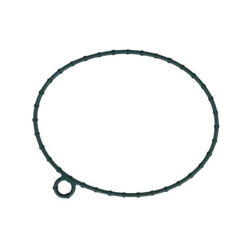 FP DIESEL R527663-FP Water Pump Gasket