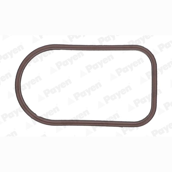 PAYEN JD6163 Intake Manifold Housing Gasket