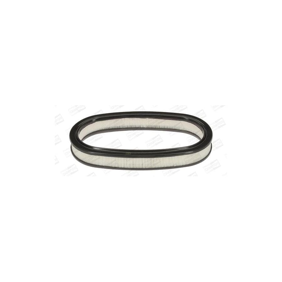 Champion Caf100225R Air Filter