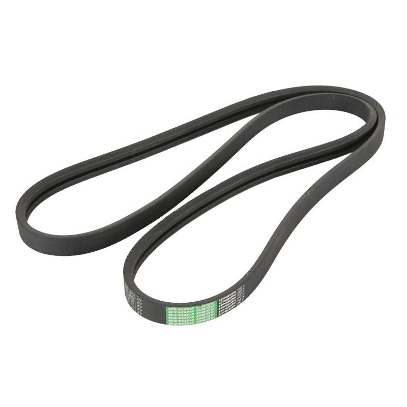 OPTIBELT 1001639AP V-Ribbed Belt