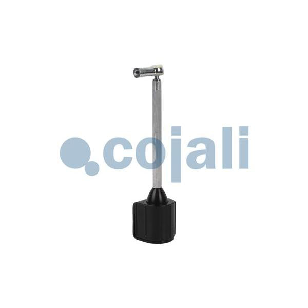 COJALI 6002220COJ Air Suspension Suspension Strut