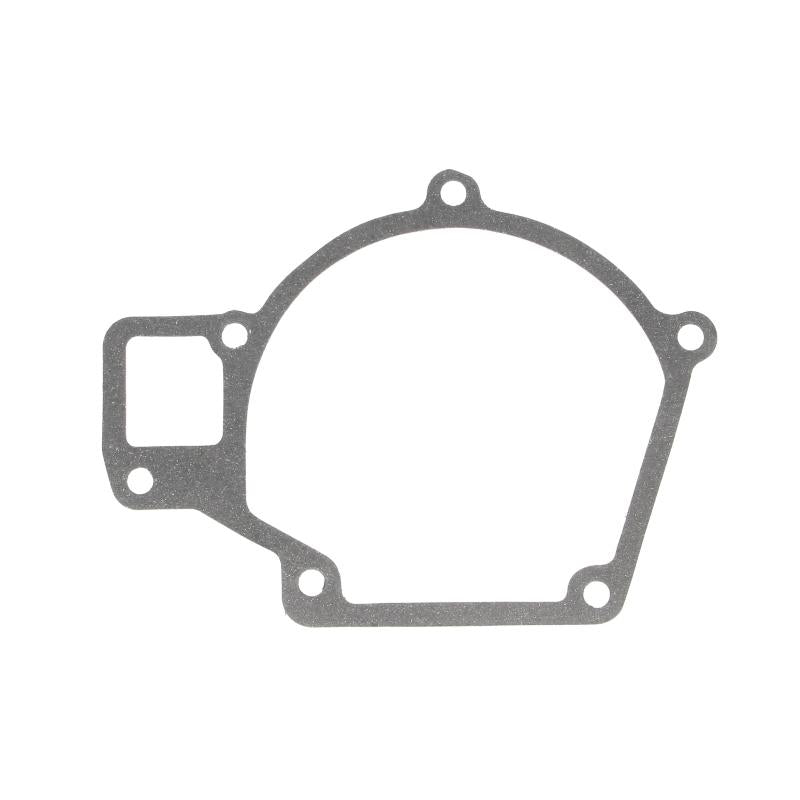 DT A/C 3.16101 Water Pump Gasket