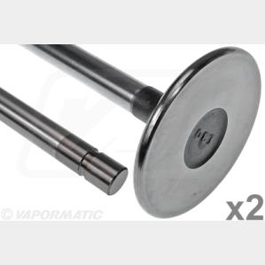 VAPORMATIC VPA1022 Intake Valve