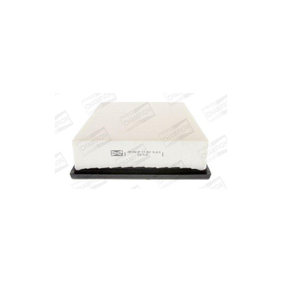 Champion Caf100612P Air Filter