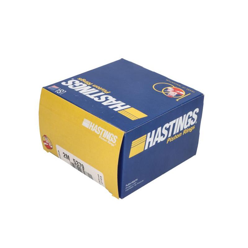 HASTINGS 2M5379 Piston Ring Kit