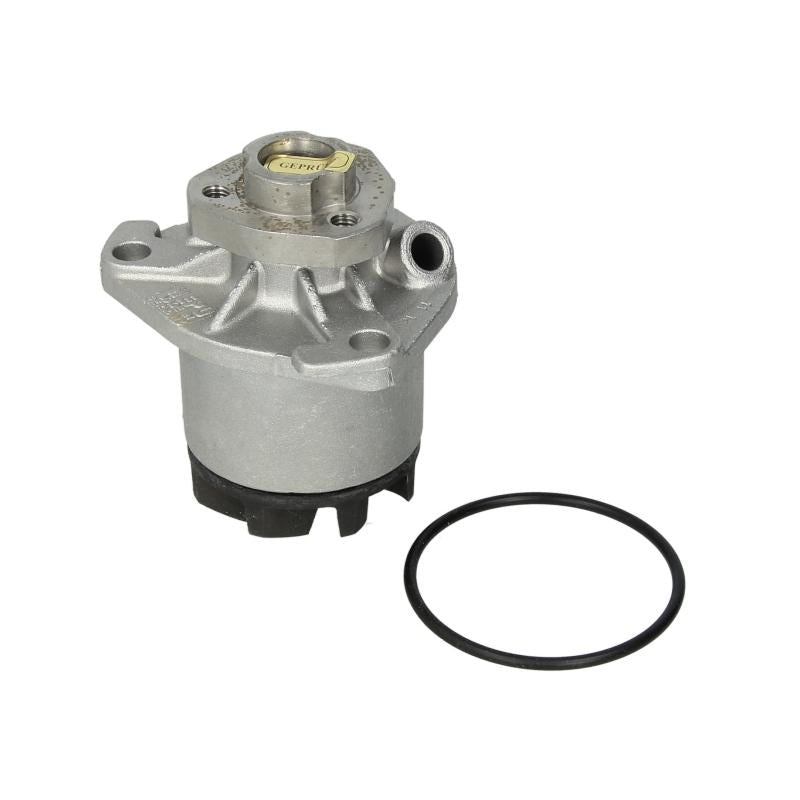 HEPU P524 Water Pump